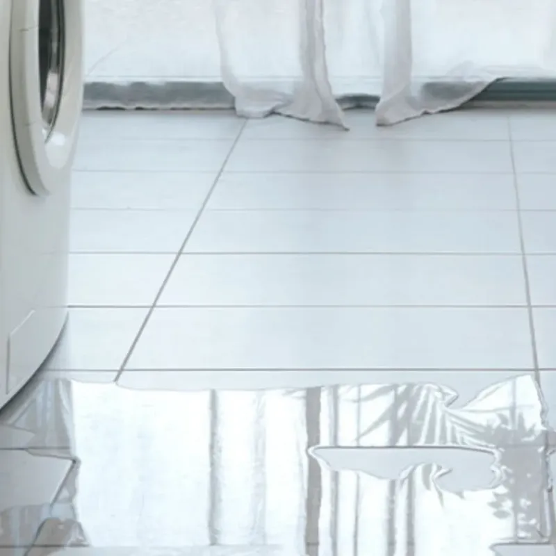 Appliance Leak Cleanup in Saluda, VA