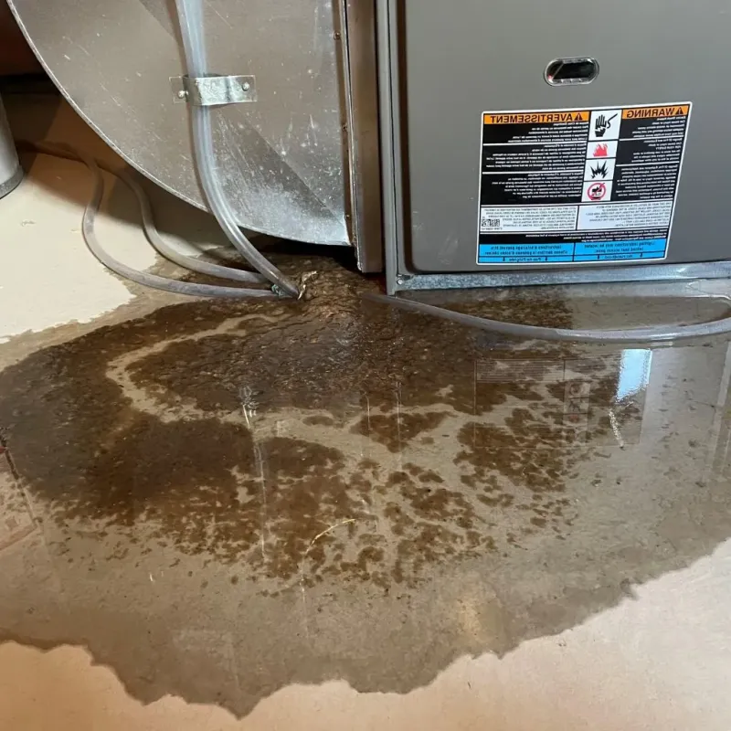 Pipe Burst and Leak Restoration in Saluda, VA
