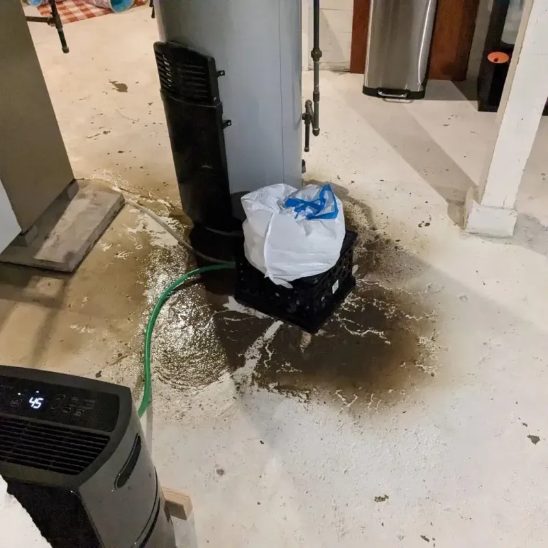 Sewage Backup Cleanup Service in Saluda, VA